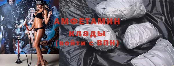 шишки Алексин